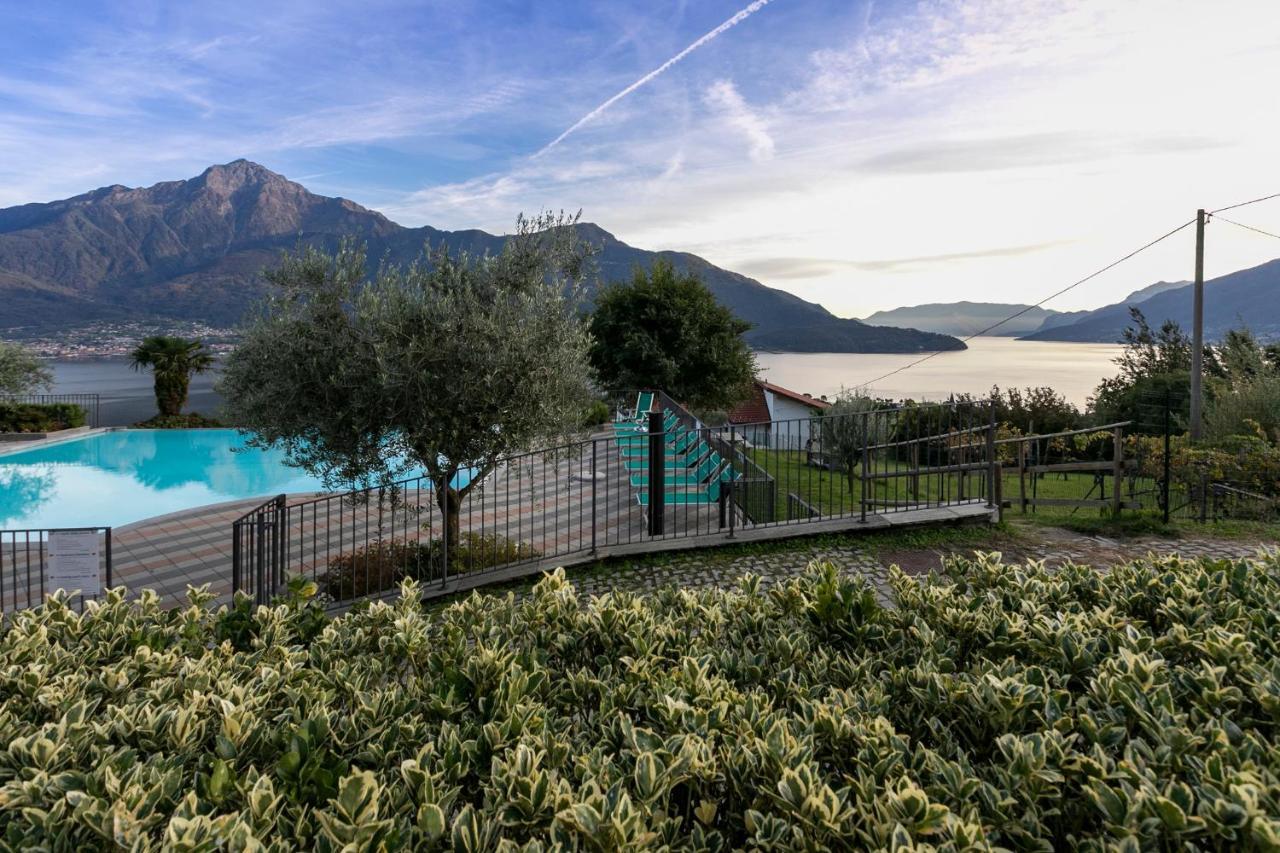 Ferienwohnung La Collina Degli Ulivi Vercana Exterior foto