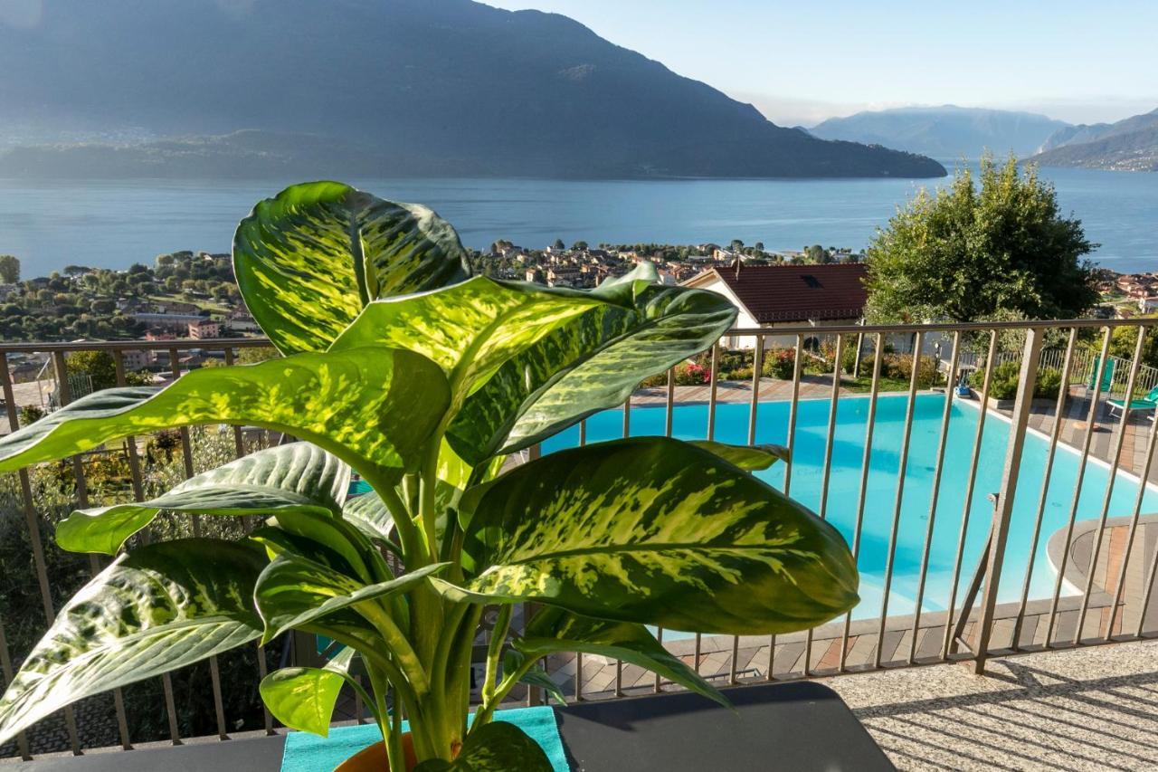 Ferienwohnung La Collina Degli Ulivi Vercana Exterior foto
